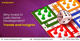 Why Invest In Ludo Game Development?, New York