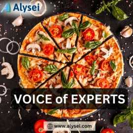 Elevate Your Expertise with Alysei Voice of Expets, Chicago