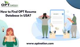 How to Grab OPT Resume Database in USA?, New York