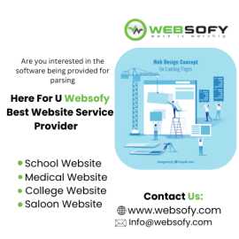 Best Website Design Service In lucknow Websofy , Lucknow