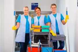 Cleaner Office in Staten Island, NY – Rise & S, Alma