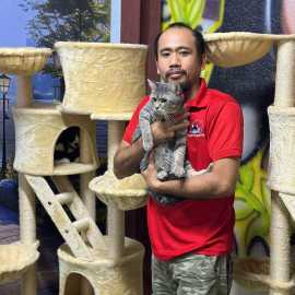 Book Your Cat’s Stay at Bruno’s Play Center – Top , Dubai