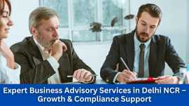 Expert Business Advisory Services in Delhi NCR , Noida
