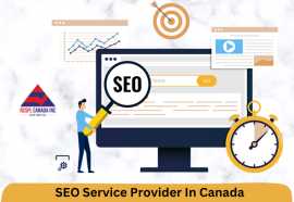 Why Ontario’s Top SEO Agency is Your Key to Digita, Mississauga