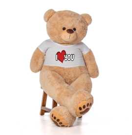 Romantic Love Teddy Bear at Giant Teddy, ps 158