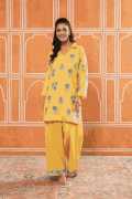 Shop Elegant Kashmiri Dresses for Women , Delhi