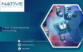 Specialized Tribal Cybersecurity Consulting, San Diego