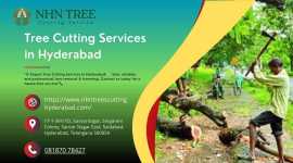 Tree Cutting Services in Hyderabad, Hyderabad