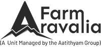Farm Stay For Picnic in Faridabad, Gurgaon