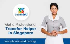 Get a Professional Transfer Helper in Singapore, Bukit Timah