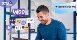 WooCommerce Web Developer for Your Online Store, Ontario