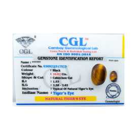 Tiger’s Eye Gemstone Cabochon Cut – 10.62 carats, Los Angeles