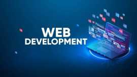 Professional Web Design Services India, Delhi
