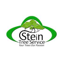 Stein Tree Service, Wilmington