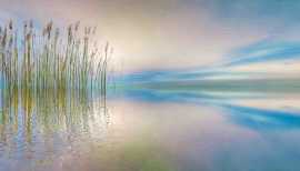 Stunning Landscape Photos Available for Purchase, Quogue