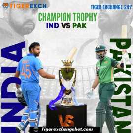 Tiger Exchange 247: Bet Live & Win Instant Cas, Delhi