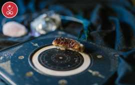 Today’s Horoscope Leo – Daily Predictions by Vedic, New Delhi