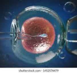 Kishori IVF – Leading the Way in Fertility Care, Bargarh