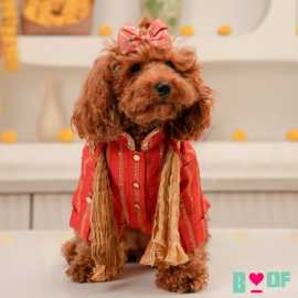 Shop Exclusive Dog Clothes Collection Online Today, Delhi