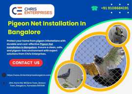 Pigeon Net Installation In Bangalore, Bengaluru