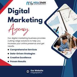Mega Spark: Premier Digital Marketing Agency in No, Delhi