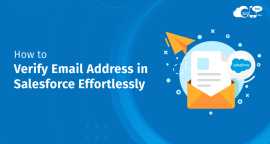 How to Verify Email Address in Salesforce, Los Angeles