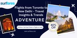 Looking for cheap flights from Toronto to Delhi, Ottawa