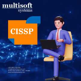 Certified Information Systems Security Professiona, Noida