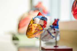 healthcare ngos near me, Noida