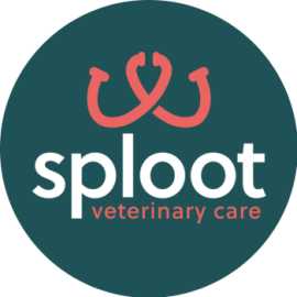 Sploot Veterinary Care - Powers Pointe, Colorado Springs
