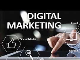 Web Solutions with Web Development Company India, Delhi