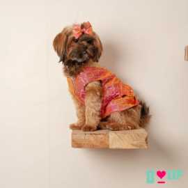 Perfect Dog Clothes for All Breeds and Sizes, New Delhi