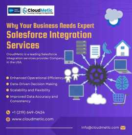 Why Your Business Needs Expert Salesforce Integrat, New Rochelle