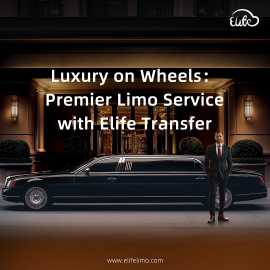 Fast & Reliable Reynosa Airport Transfers, Las Vegas
