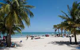 Top 5 Beaches In Miami, New York