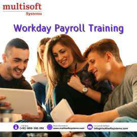 Master Workday Payroll with Expert Online Training, Noida