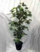 Outdoor Artificial Plants – Durable and Stylish Gr, $ 0