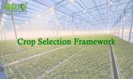 Hydroponic Farming Made Easy Crop Selection Expert, Gandhinagar