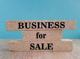 Looking to Invest or Acquire a Business?, Bengaluru