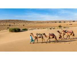 West India’s Top Heritage Destinations-India Herit, Jaipur