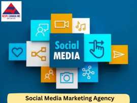 How a Toronto SMM Agency Can Help Local Businesses, Mississauga