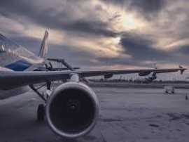 How do I Complain to British Airways?, Hawaiian Gardens