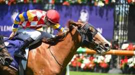 The Rise of Betting Apps: Convenience at Your Fing, Chadstone