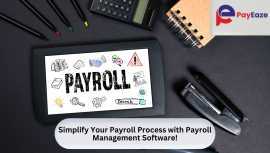 Effortless Payroll Management with Software!, Mississauga