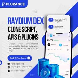 Low-Cost Raydium DEX Clone Available @ Plurance, Tokyo