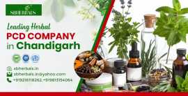 Herbal Pharma Franchise in Chandigarh – Partner wi, Chandigarh