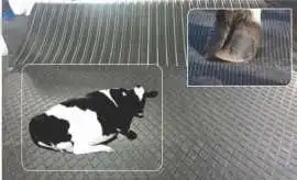Buy a Cow Rubber Mat Online in India, Noida