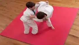 Premium Quality Martial Arts Mats | Gravolite, ₹ 4,000