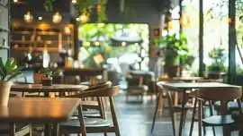 Best Student Cafes in Dayal Bagh Agra for Colleg, Agra