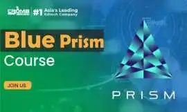 Professional Blue Prism Online Training  , Noida